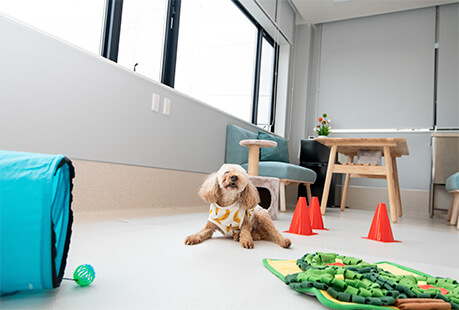 診察室イメージ画像